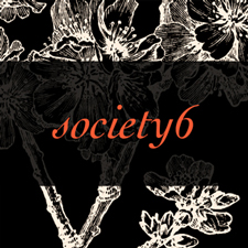 society6